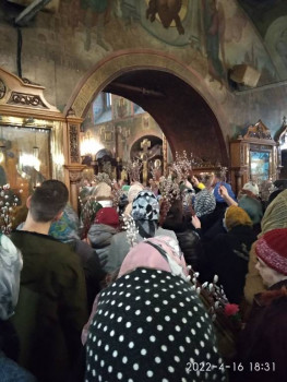 Чем сегодня занимались - IMG_20220416_183156_428.jpg