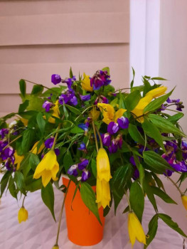 Лесные тюльпаны и чина весенняя.