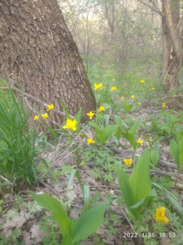 Чем сегодня занимались - IMG_20220426_185324.jpg