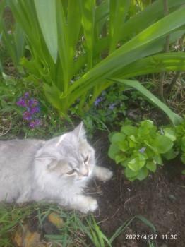 Кого из животных вы содержите? Фото приветствуется. - IMG_20220427_113023.jpg