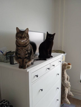 Кого из животных вы содержите? Фото приветствуется. - IMG_20220429_111333.jpg