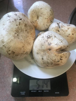 Рецептик дня -4 - 6E5B7373-7216-4361-A743-79369403D24C.jpeg