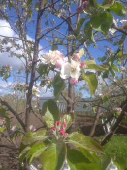 Поговорим о погоде - IMG_20220506_140858.jpg