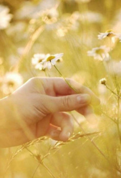 Доброго утра Хорошего дня Спокойной ночи  - Screenshot_20220506_214301.jpg