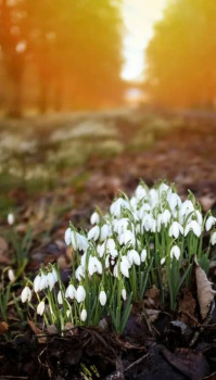 Доброго утра Хорошего дня Спокойной ночи  - Screenshot_20220513_091114.jpg