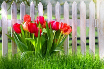 Доброго утра Хорошего дня Спокойной ночи  - 98dd1dca5fb28ce1435503e35ce5e1e6.jpg