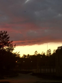 Рассветы... Закаты... - IMG_20220515_213556.jpg