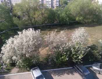 Чем сегодня занимались - 20220518_170153.jpg