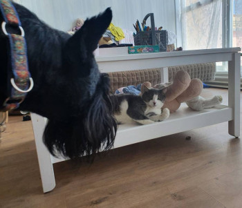 Кого из животных вы содержите? Фото приветствуется. - 20220507_135207.jpg