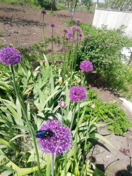 Чем сегодня занимались - IMG_20220521_114120.jpg