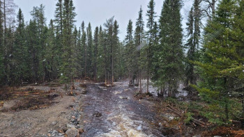 Вид из машины по дороге на работу. Снег только начался