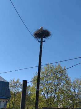 Чем сегодня занимались - 20220522_100122.jpg