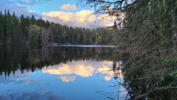 Завтрак, обед и ужин  - 20220601_202707.jpg