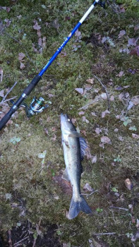 Завтрак, обед и ужин  - 20220530_211942.jpg