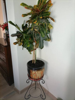 Чем сегодня занимались - IMG_20220601_110158.jpg