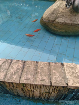 Чем сегодня занимались - 20220610_155816.jpg