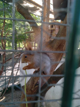 Чем сегодня занимались - 20220609_150745.jpg