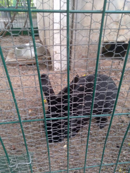 Чем сегодня занимались - 20220610_155959.jpg