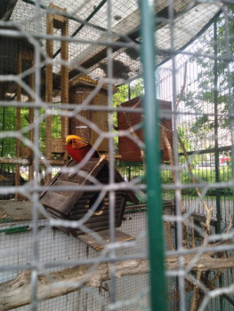 Чем сегодня занимались - 20220610_160115.jpg