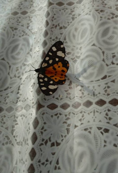 Чем сегодня занимались ваши дети? - IMG_20220622_181639.jpg