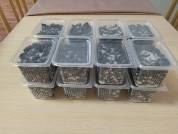  Погребок хорошей хозяйки  - 1656254675422.jpg