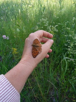 Чем сегодня занимались - IMG_20220630_144927_1.jpg