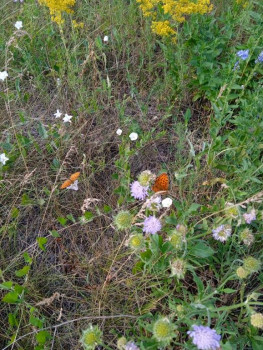 Чем сегодня занимались - IMG_20220630_153223.jpg