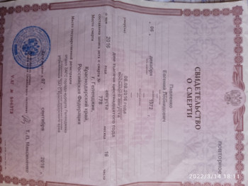 Пожалуйста не проходите мимо - IMG_20220314_181132.jpg