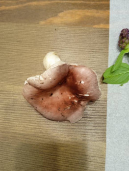 Чем сегодня занимались - IMG_20220714_195934.jpg