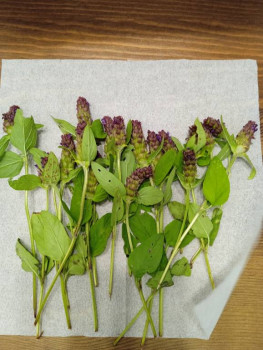 Чем сегодня занимались - IMG_20220714_195930.jpg