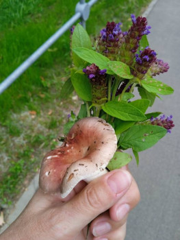 Чем сегодня занимались - IMG_20220714_181422.jpg