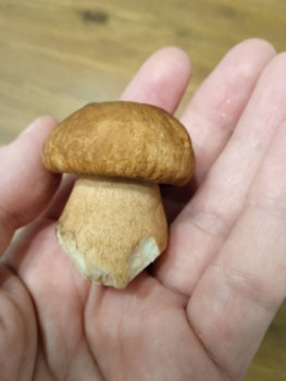 Чем сегодня занимались - IMG_20220718_222720.jpg