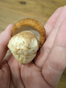 Чем сегодня занимались - IMG_20220718_222723.jpg