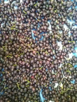 Чем сегодня занимались - IMG_20220722_170940.jpg