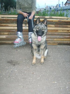 Кого из животных вы содержите? Фото приветствуется. - S8303405.JPG