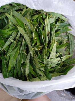 Чем сегодня занимались - IMG_20220731_165213.jpg