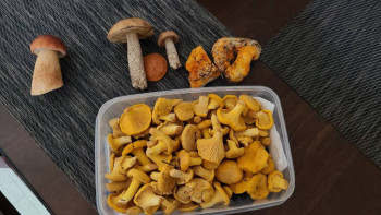 Чем сегодня занимались - 20220802_172119.jpg