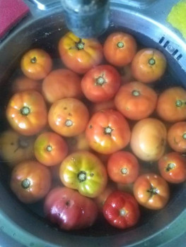 Садово-огородные дела. - IMG_20220814_174509.jpg