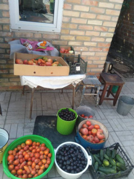 Заготовки на зиму - IMG_20220818_110219.jpg