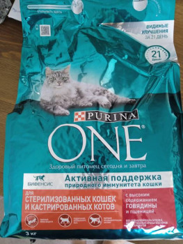 Клуб фелинологов-любителей  - IMG_20220825_140523.jpg