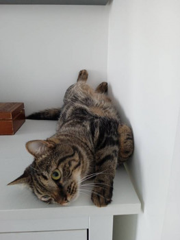 Кого из животных вы содержите? Фото приветствуется. - IMG_20220825_135540.jpg