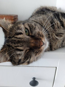 Кого из животных вы содержите? Фото приветствуется. - IMG_20220825_135555.jpg