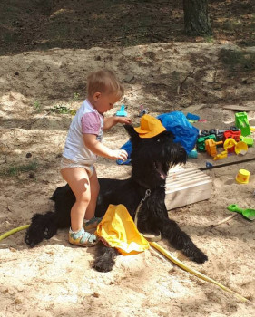 Кого из животных вы содержите? Фото приветствуется. - 20180803_151752.jpg