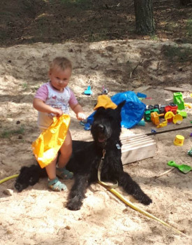 Кого из животных вы содержите? Фото приветствуется. - 20180803_151754.jpg