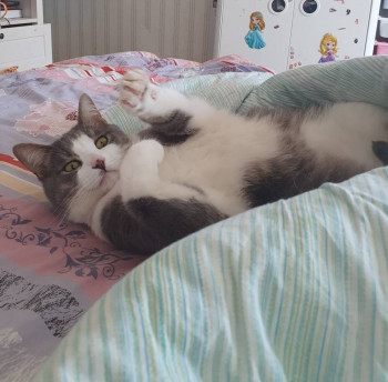 Кого из животных вы содержите? Фото приветствуется. - 20210526_103858.jpg