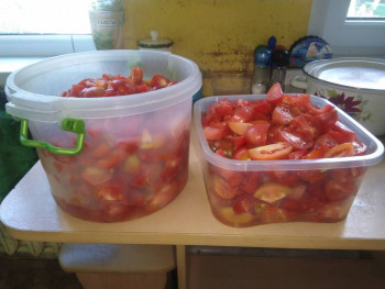 Чем сегодня занимались - IMG_20220901_162413.jpg