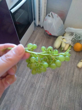 Прямо с грядки Наш урожай  - 20220912_082609.jpg