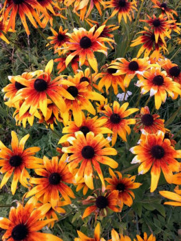 Чем сегодня занимались - IMG_20220910_083356~2.jpg