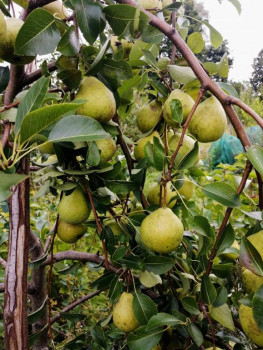 Чем сегодня занимались - IMG_20220910_082219~2.jpg