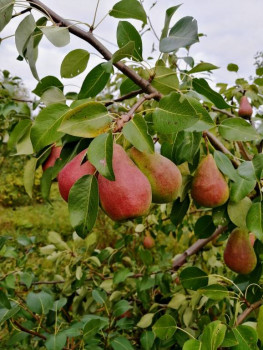 Чем сегодня занимались - IMG_20220910_082026~2.jpg